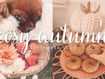 Welcoming September,  new sweaters, apple-picking, cider donuts, dahlias,  knitted pumpkins. 