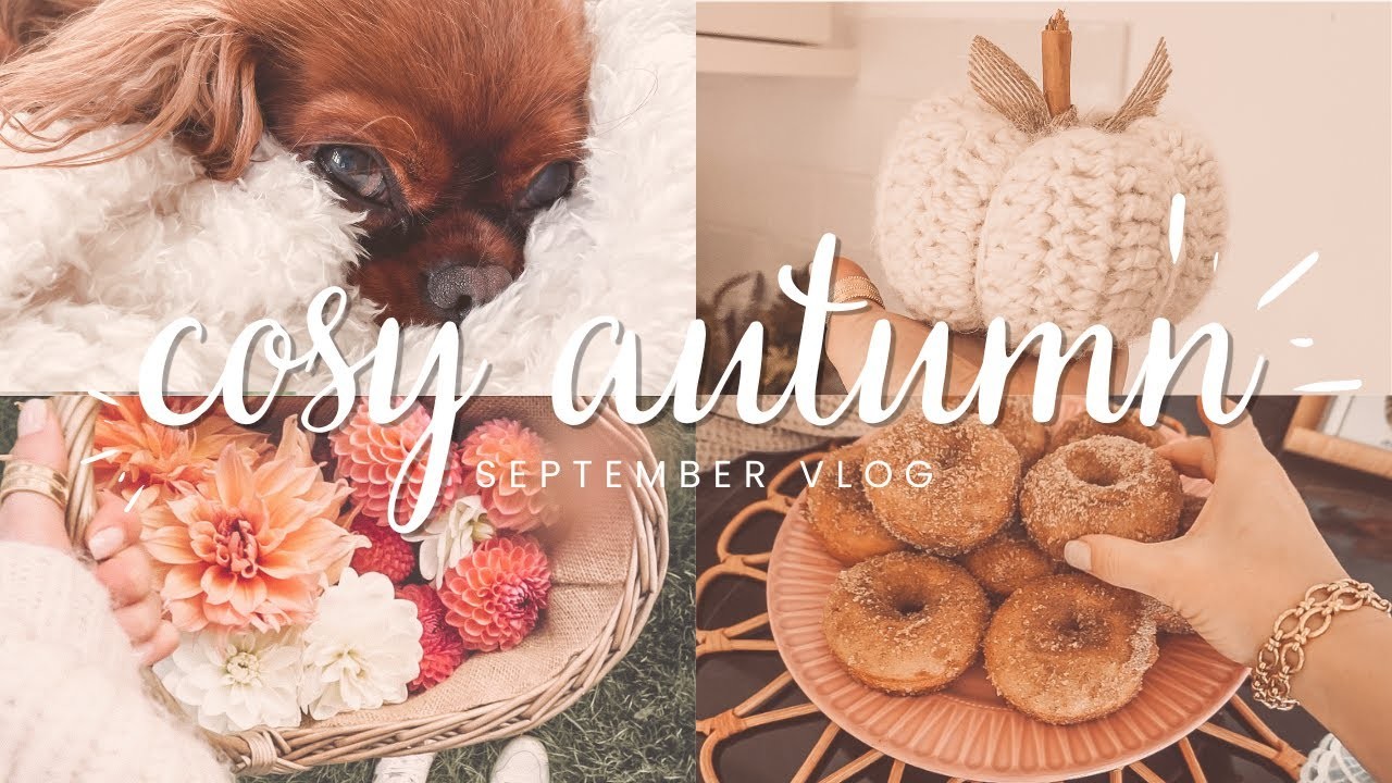 Welcoming September,  new sweaters, apple-picking, cider donuts, dahlias,  knitted pumpkins. 