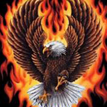 FLaming EagLe Cross Stitch Pattern***L@@K***Buyers Can Download Your Pattern As Soon As They Complete The Purchase