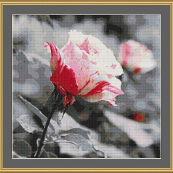 A Rose Cross Stitch Pattern