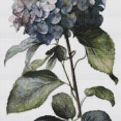 Blue Hydrangea Cross Stitch Pattern