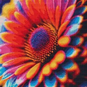 Colourful Daisy Cross Stitch Pattern