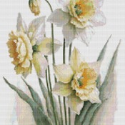 Daffodils Cross Stitch Pattern