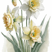 Daffodils Cross Stitch Pattern