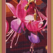 Fuchsia Cross Stitch Pattern