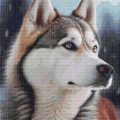 Husky Cross Stitch Pattern