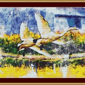 In Flight Cross Stitch Pattern