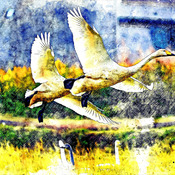 In Flight Cross Stitch Pattern