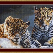 Jaguars Cross Stitch Pattern