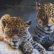 Jaguars Cross Stitch Pattern