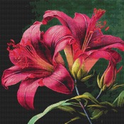 Lilies Cross Stitch Pattern