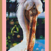 Pelican Cross Stitch Pattern