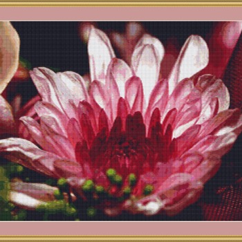 Pink Chrysanthemums Cross Stitch Pattern