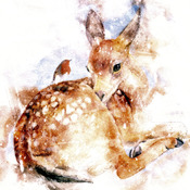 Roe Deer Cross Stitch Pattern