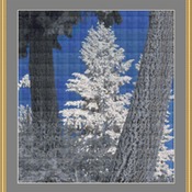 Trees In Winter Cross Stitch Pattern