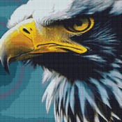 White Tailed Eagle Cross Stitch Pattern