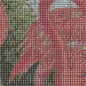Crafts Pink FLamingo Birds Cross Stitch Pattern***LOOK***Buyers Can Download Your Pattern As Soon As They Complete The Purchase