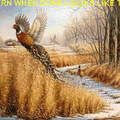 BIRDS Pheasant Wildlife Cross Stitch Pattern DMC DIY***LOOK***Buyers Can Download Your Pattern As Soon As They Complete The Purchase