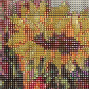 BIRDS Fall Festival Cross Stitch Pattern***LOOK***Buyers Can Download Your Pattern As Soon As They Complete The Purchase