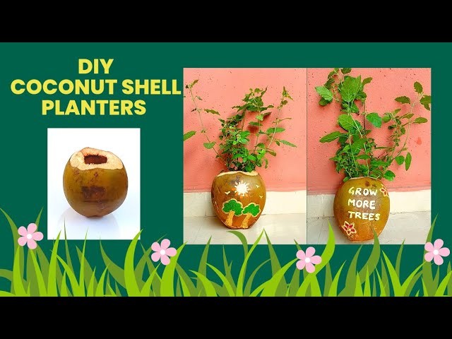 #DIY Planter ideas using waste tender coconut shell ????????#planter  making with household discards