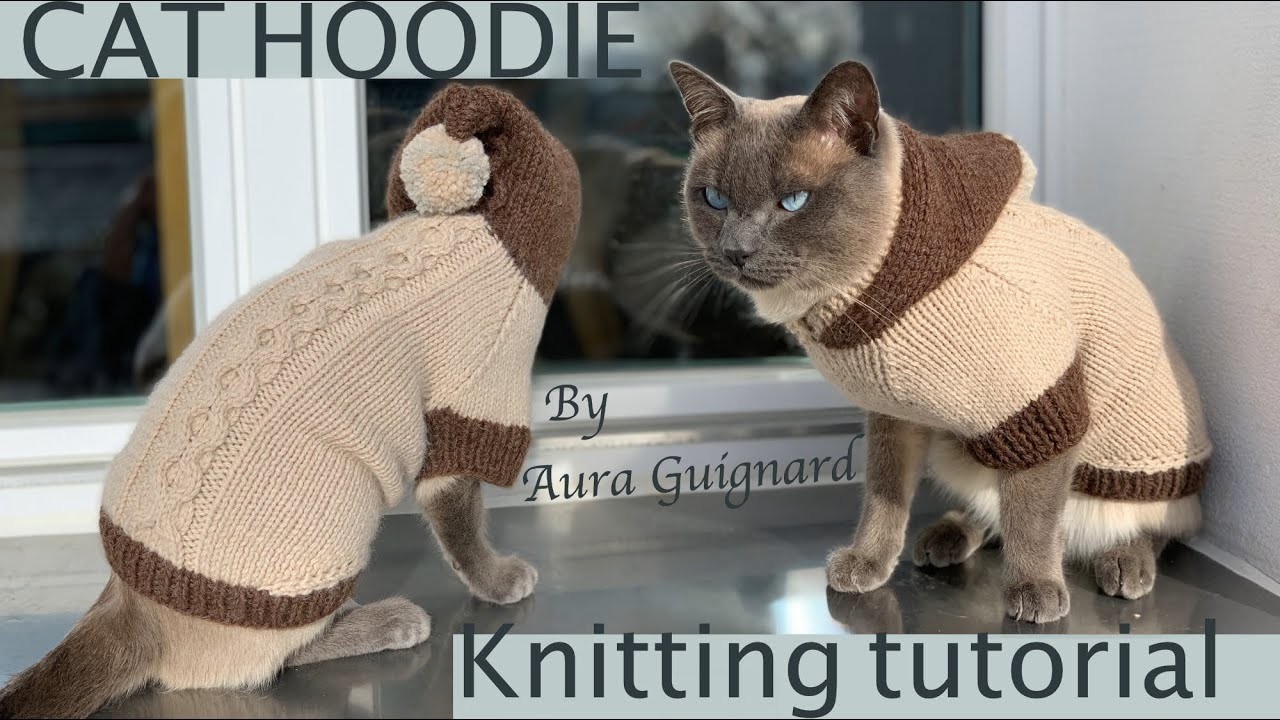 #howto #knit  #cat hoodie #knittingtutorials by Aura Guignard #catlover #siamese #siamesecats