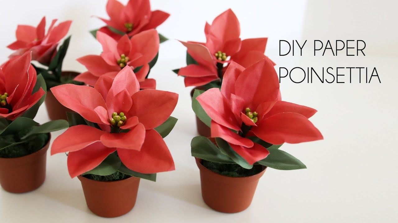 DIY Paper Poinsettia (paper flower crafts)