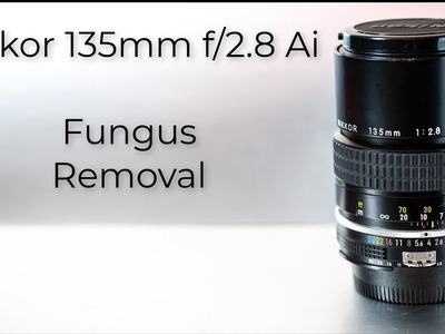 Lens repair :  Nikon Nikkor 135mm f.2.8 : Fungus removal