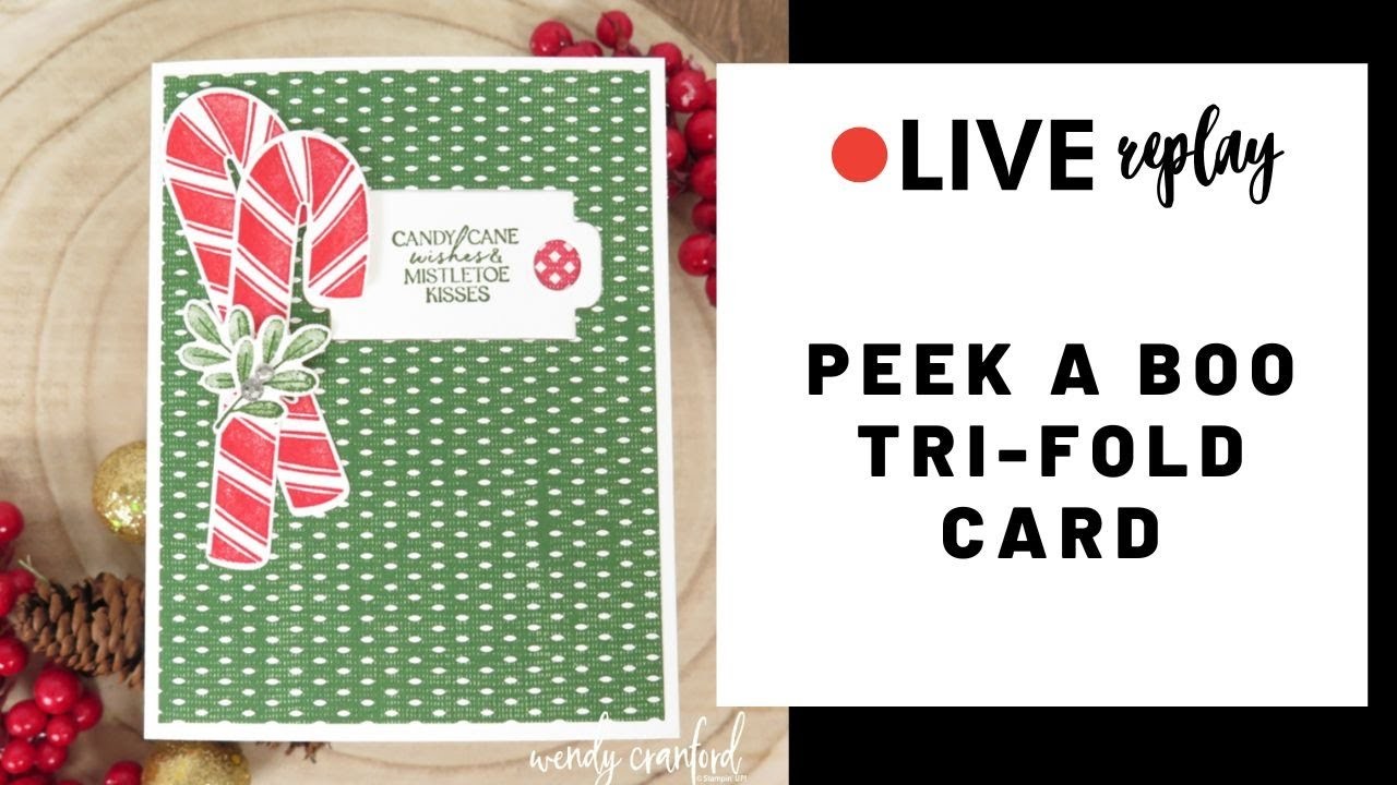 How to Make a Peek A Boo Tri Fold Card