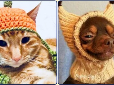 Crochet Cat & Dog Hat knitting - Accessories Handmade Ideas