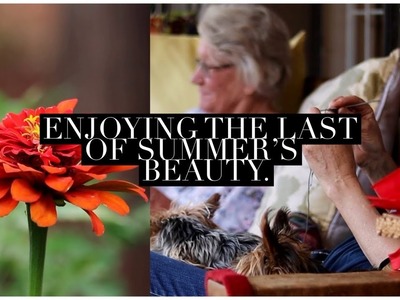 Countryside Summer Slow Living. a Storm. New Baby Chicks, Zinnias & Crochet Projects & books