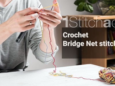 Crochet Bridge  Net Stitch -  Learn 1 crochet stitch a day
