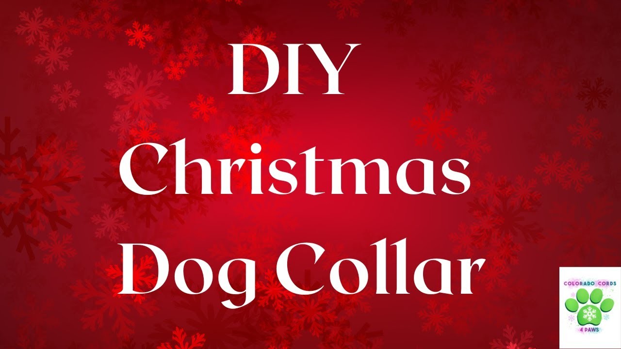 Adjustable Christmas Dog Collar DIY