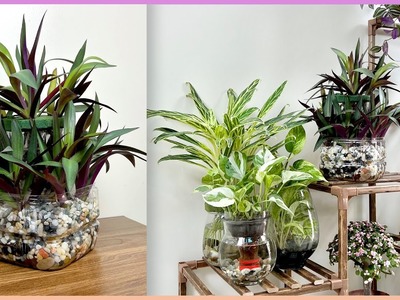 Enjoy the unique way of growing plants to highlight your home space