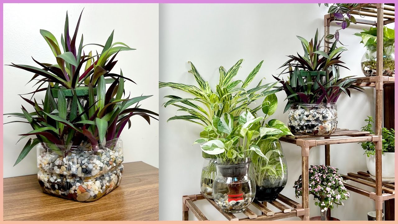 Enjoy the unique way of growing plants to highlight your home space