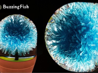 ????Grow Crystals Flower and Make a Resin Lamp | Resin Lamp????