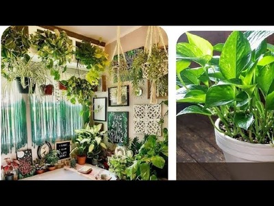 Unique Hanging Plants with their name || Most Beautiful & never seen before #trending #new #youtube