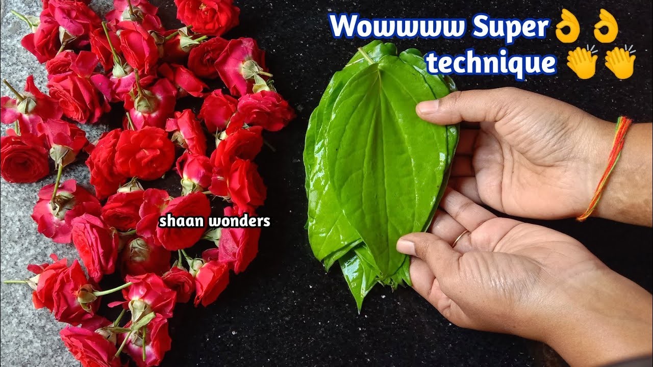 Amazing small red rose flower and betel leaves garland making at home for god.rose flower garland
