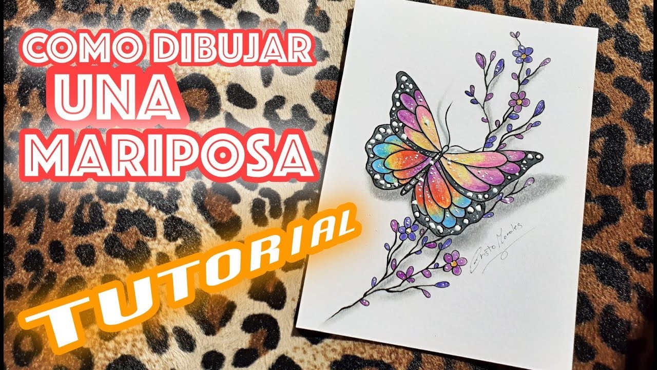 Como dibujar una mariposa paso a paso | How to draw beautiful butterfly | Pencil sketch