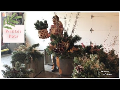 • How to make Christmas Winter pots ???? container gardening • winter interest • decor • step by step