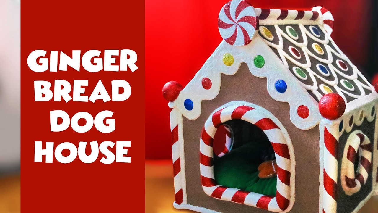 I MADE A GINGERBREAD HOUSE FOR MY DOG! | How to make DIY High End Christmas decorations for cheap!