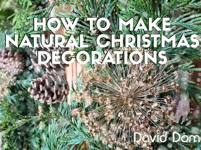How to make natural Christmas decorations with David Domoney