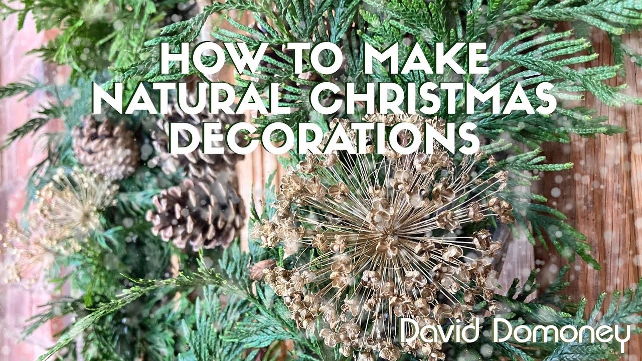 How to make natural Christmas decorations with David Domoney