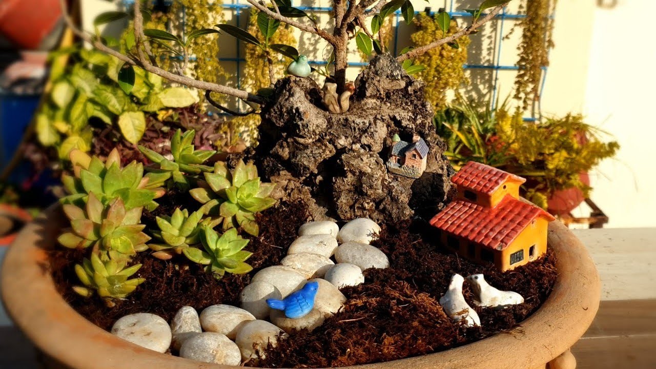 Tray gardening with rock#diy #gardening #ficusplant #garden#pot decoration # miniature