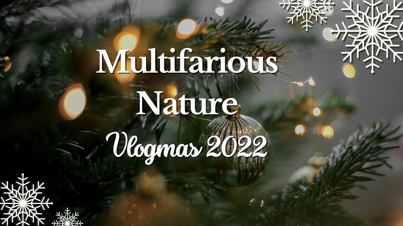 Multifarious Nature Vlogmas 2022: Week 2