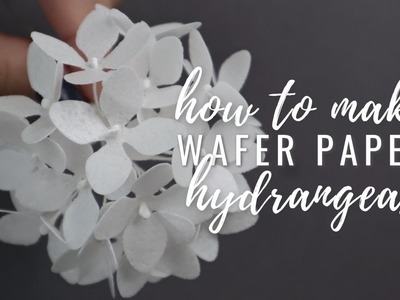 Wafer Paper Hydrangeas for cake decorating | Filler flower tutorial