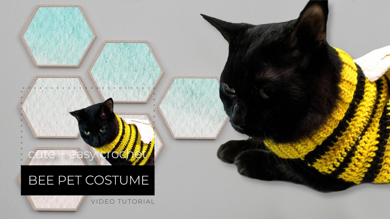 Crochet Bee Costume | Pet Costume