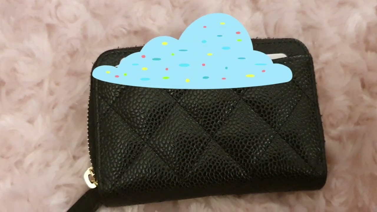 ✨️✨️ One year review of Chanel zippy coin purse ✨️✨️