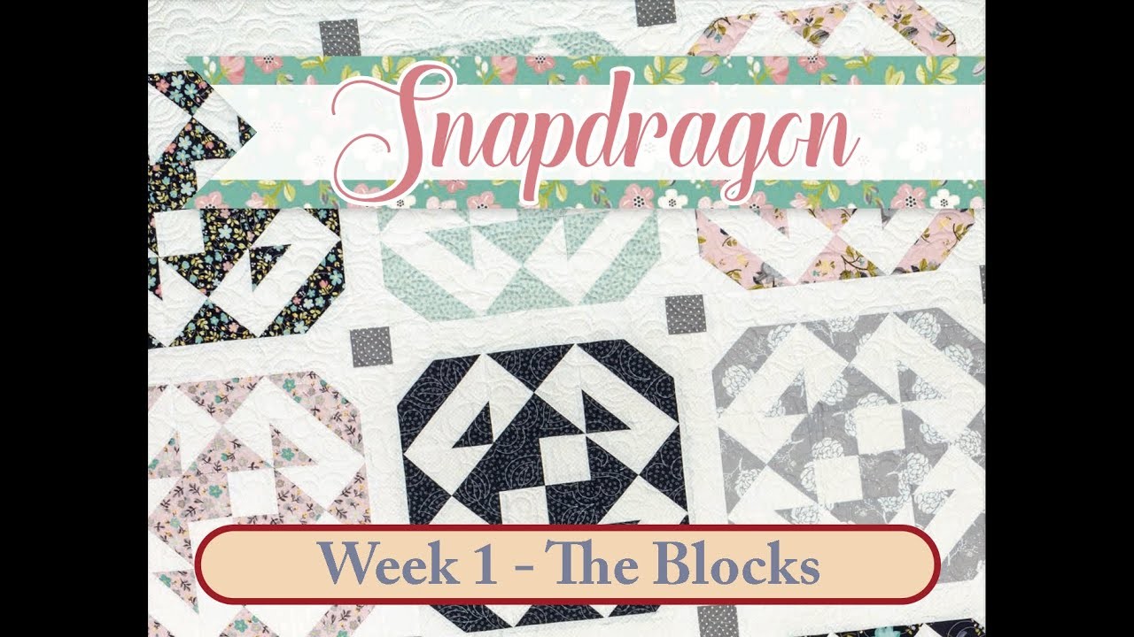 Snapdragon Week 1 - Blocks