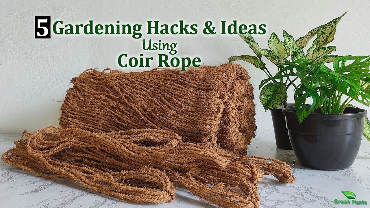 5 Best Gardening Ideas & Gardening Hacks Using Coir Rope | DIY Gardening Ideas & Hacks.GREEN PLANTS