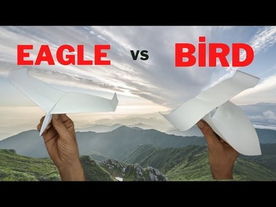 Eagle vs Bird Paper Plane. How to Make Paper Plane. Origami